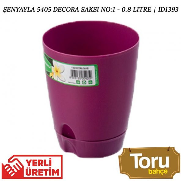 Sansevieria Trifasciata (Paşa Kılıcı, Peygamber Kılıcı) - 2