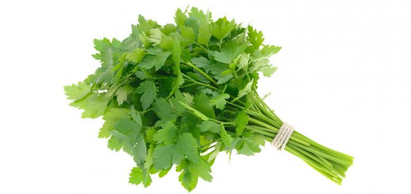 Süper paket Geniş Yapraklı Maydonoz Tohumu 5000 Tohum+Hediye Tohu ürün görseli