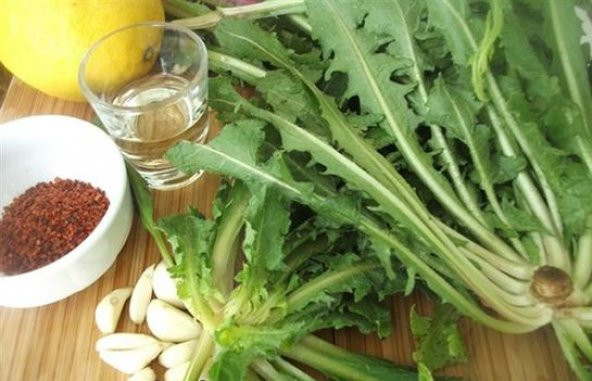 Eko Paket Nadir Hindiba Tohumu Hindibağı Tohumu 150 Tohum+Hediye - 3