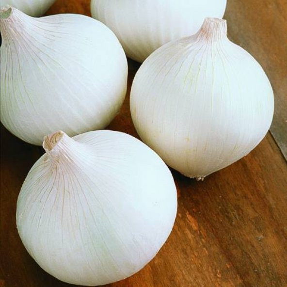 Eko Paket Beyaz Tatlı Soğan Tohumu 650 Tohum + Spriz Hediye Tohum