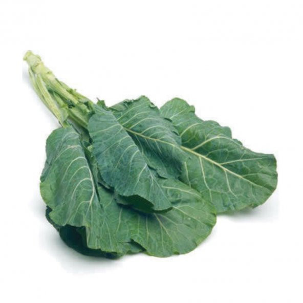 Süper Paket Yerli Karadeniz Kara Lahana Tohumu 700 Tohum+Hediye T - Resim 2