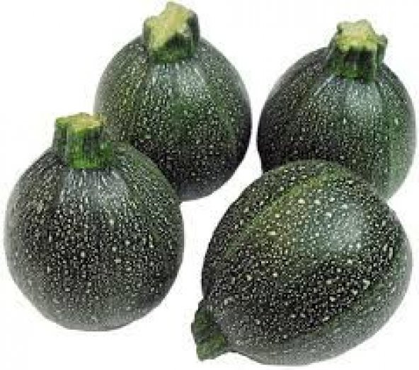 Eko Paket Dolmalık Nadir Topak Kabak Tohumu 35 Tohum+Hediye Tohum ürün görseli