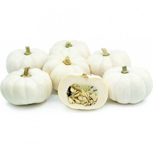 Eko Paket Tam 6 Farklı Çeşit Kabak Tohumu +Süpriz Hediye Tohum - Resim 3