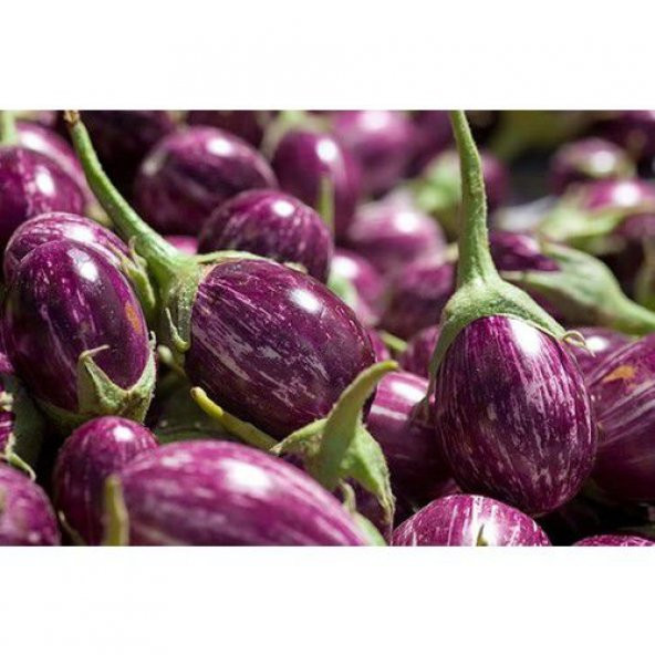 Eko Paket Mini Mor Patlıcan Tohum Thayland Patlıcanı 20 tohum+Hed - Resim 3