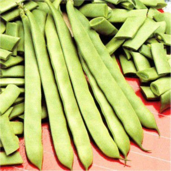 Eko Paket Kılçıksız Yediveren Fasulye Tohumu 100 Tohum+Hediye Toh ürün görseli