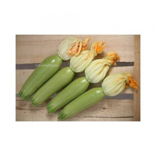 Eko Paket Tam 6 Farklı Çeşit Kabak Tohumu +Süpriz Hediye Tohum - Resim 4