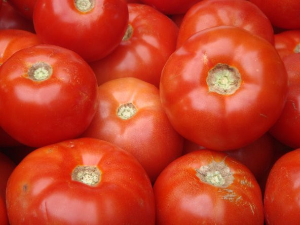 Bostan Seti Domates+Çengelköy Salatalık+Kemer Patlıcan Tohumu - Resim 4