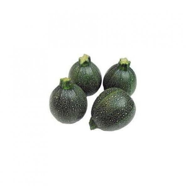 Eko Paket Tam 6 Farklı Çeşit Kabak Tohumu +Süpriz Hediye Tohum - Resim 6