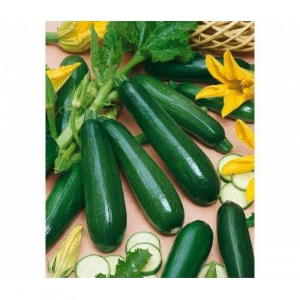 Eko Paket Tam 6 Farklı Çeşit Kabak Tohumu +Süpriz Hediye Tohum - Resim 7