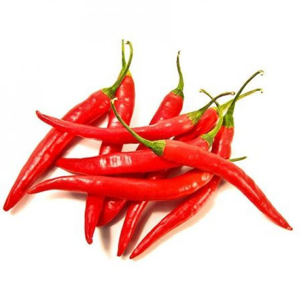 Şili Biberi Tohumu Çok Acı Chili Biberi Tohumu 20 Tohum+Hediye To
