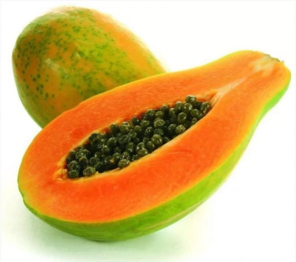 Papaya Ağacı Tohumu İthal Papaya Ağacı Tohumu 3 Tohum +Hediye Toh - Resim 2
