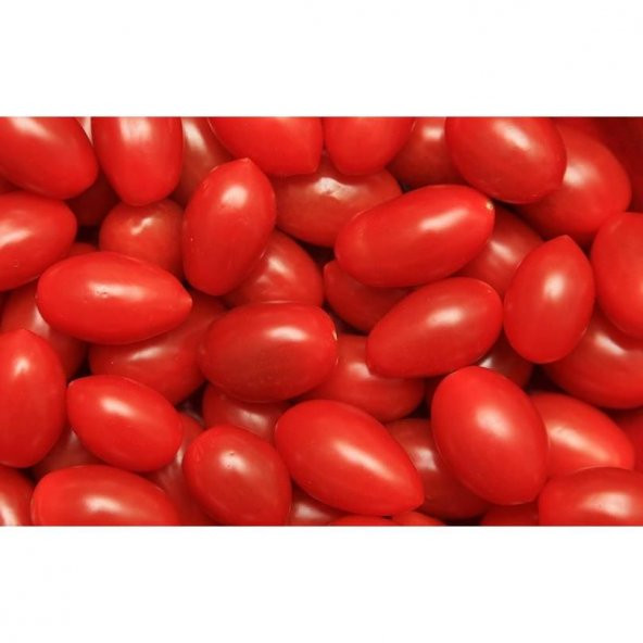 Çerez Domates Tohumu Atıştırmalık Domates Tohumu 10 Tohum+Hediye - Resim 2