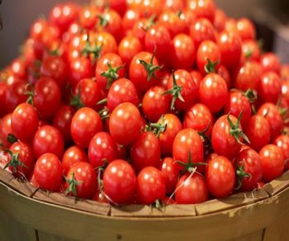 Süper Paket Kiraz Domates Tohumu Misket Domates Tohumu 115 Tohum - Resim 2