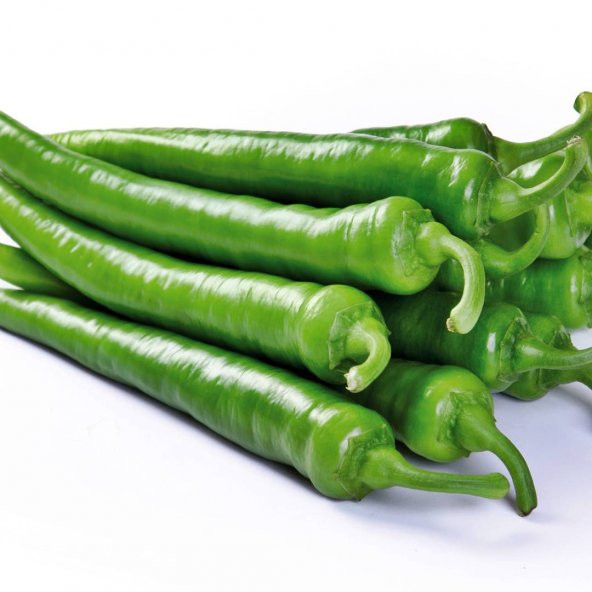 Sivri Acı Demre Biber Tohumu 20 Tohum+Saksı+Toprak+HEdiye + Tohum ürün görseli 1