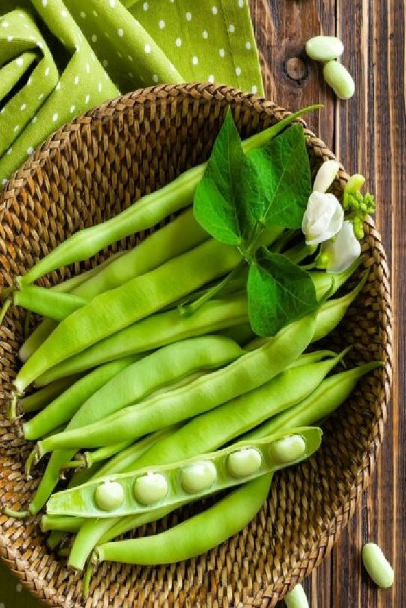 Eko Paket Ayşe Kadın Kılçıksız Fasulye Tohumu 50 Tohum+Hediye Toh - Resim 3