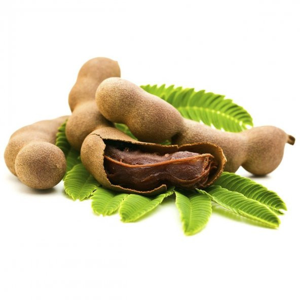 Demir Hindi Meyvesi Sweet Tamarind 5 Tohum + Saksı+Toprak+Hediye