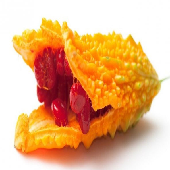 Kudret Narı Tohumu Cennet Meyvesi Tohumu 3 Tohum+Saksı+Toprak+Hed ürün görseli