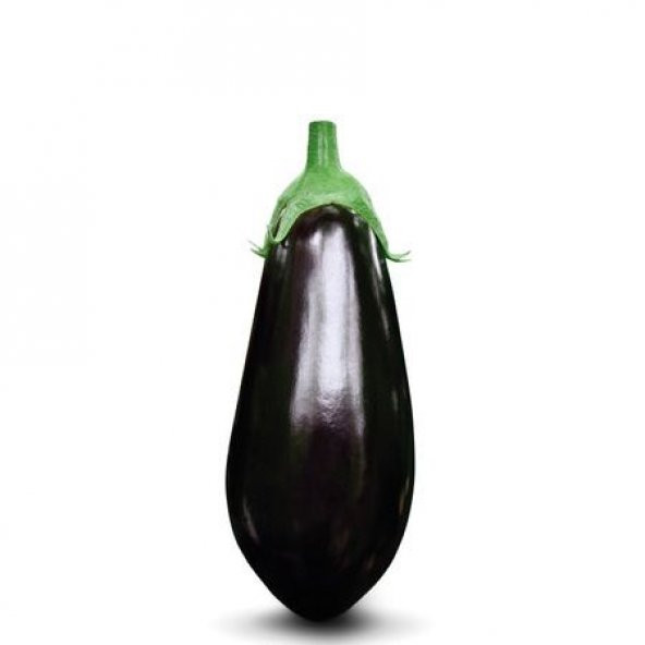 Süper Paket İri Dev Patlıcan Tohumu İthal 115 Tohum+Hediye Tohum ürün görseli 1