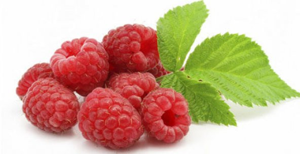 Eko Paket Ahududu Tohumu Frambuaz Böğürlen Tohumu 40 Tohum+Hediye - Resim 3