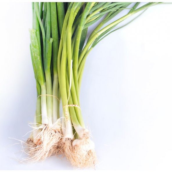 Yeşil Taze Firik Soğan Tohumu Acısız 50 Tohum+Saksı+Toprak+Hediye - Resim 3