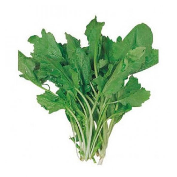 Eko Paket Yerli İri Boy Geniş Yapraklı Tere Tohumu 500 Tohum+Hedi ürün görseli