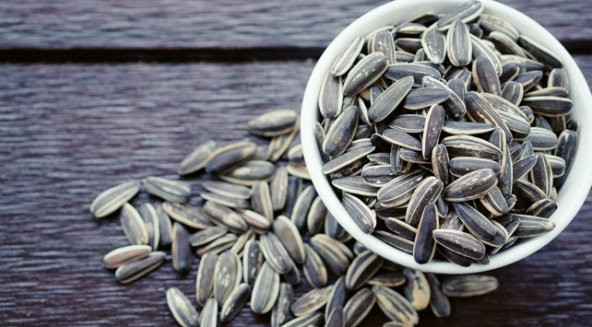 Ay Çekirdeği Çiğdem Güne Bakan Tohumu 15 Tohum + Saksı + Toprak + - Resim 3