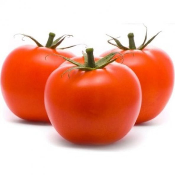 Erkenci İri Domates Tohumu 15 Tohum + Saksı+Toprak+Hediye Tohum - Resim 3