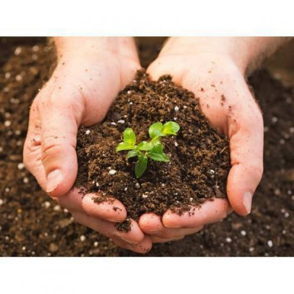 Kaliteli Saksı Yükseklik 16,5X14 Ölçülerinde 10 Adet Saksı - 2