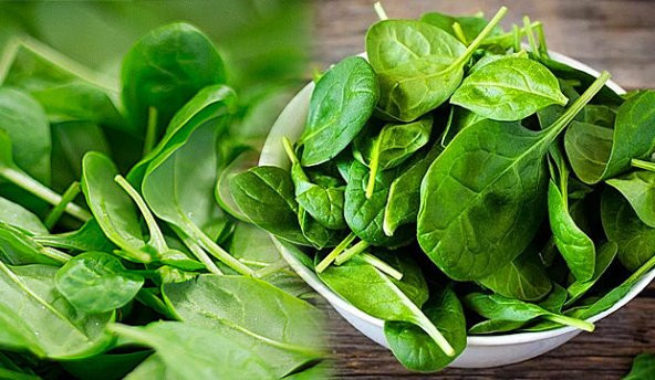 Süper Paket Yerli Ispanak Tohumu 700 Adet Tohum +Hediye Tohum - Resim 2