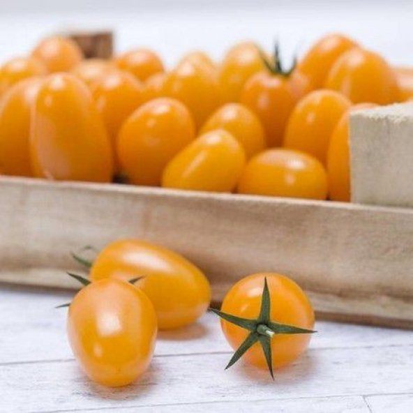 Nadir İthal Turuncu Domates Tohumu Cherry Domates 10 Tohum + Spri - Resim 2