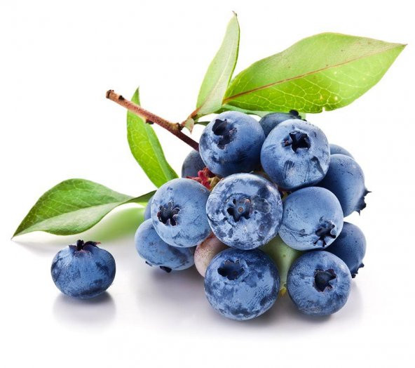 Yaban Mersini Tohumu Blueberry Tohumu 10 Tohum + Saksı + Toprak + - 3
