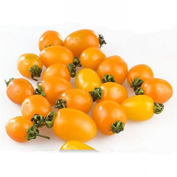 Nadir İthal Turuncu Domates Tohumu Cherry Domates 10 Tohum + Spri - Resim 3