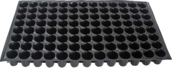 7 Adet 104 Lük Viyol Fide Çimlendirme Viyolü + Hediye Tohum - Resim 2