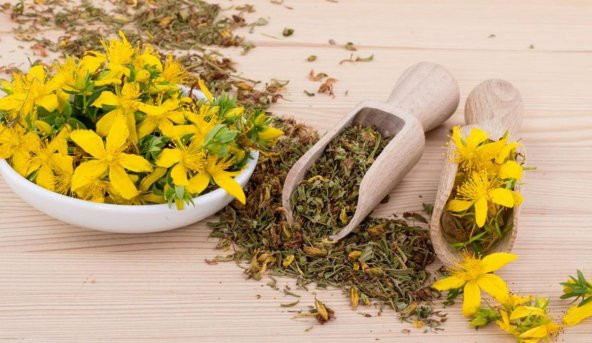 Sarı Kantaron Tohumu Kantaron Otu Tohumu 30 Tohum+Hediye Tohum - Resim 3