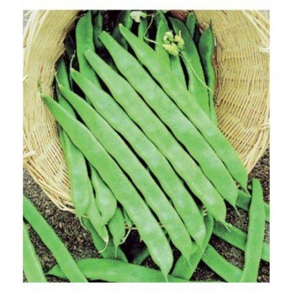 Eko Paket İstanbul Boncuk Ayşe Kadın Fasulye Tohumu 100 Tohum+Hed ürün görseli