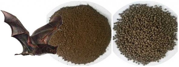 Yarasa Gübresi Organik Yarasa Gübresi 1 Kg Yarasa GübresiHediye - 3