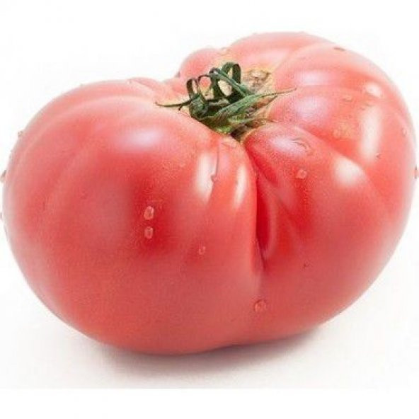 Nadir Geleneksel İri Pembe Domates Tohumu 15 Tohum +Hediye Tohum - Resim 2