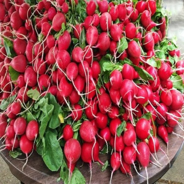 Yerli Kırmızı Fındık Turp Tohumu 50 Adet Tohum + Spriz Hediye Toh - 3