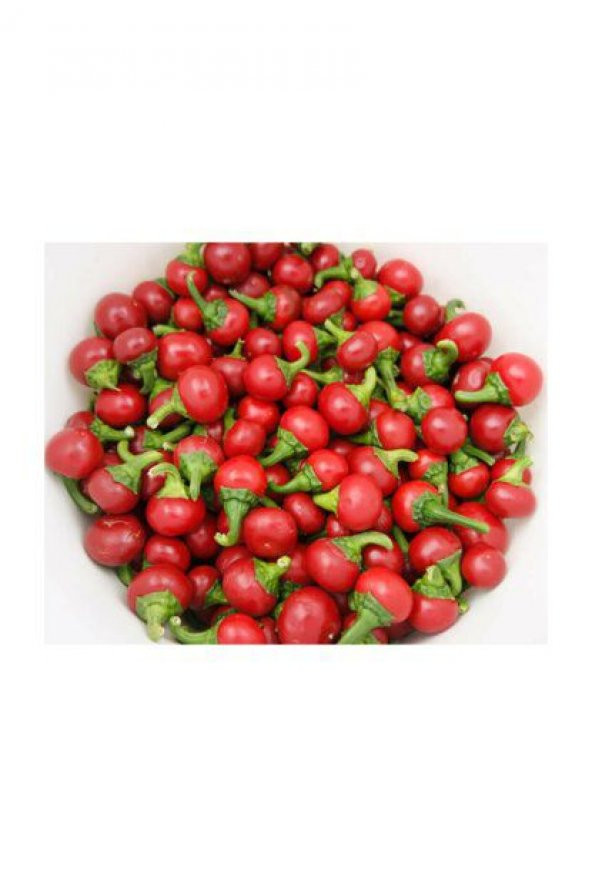 Cherry Tatlı Kiraz Biber Tohumu Biber Tohumu 15 Tohumu +Hediye To - 2