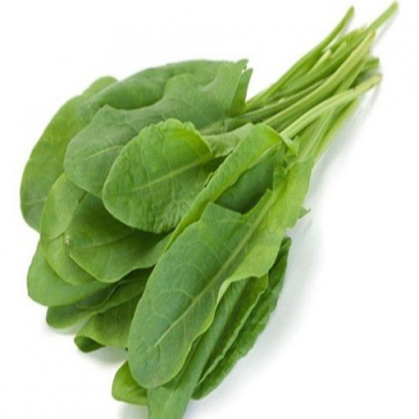 Kuzu Kulağı Tohumu Koç Kulağı Tohumu Ekşi Otu Tohumu 100 Tohum + - Resim 2