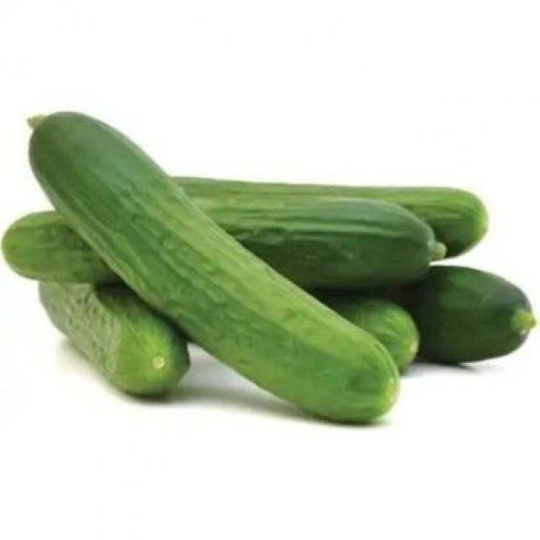 Yerli Erkenci Badem Salatalık Tohumu 20 Adet Tohum + Hediye Tohum - Resim 4