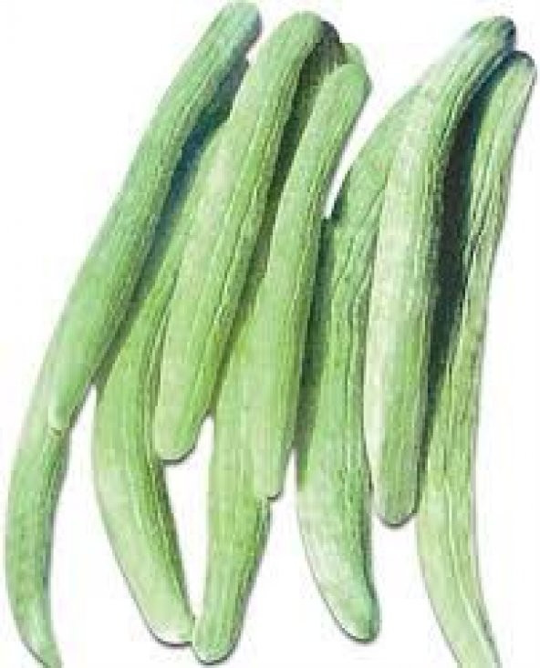 Acur Tohum Geleneksel Acur Tohumu 15 Tohum + Sürpriz Hediye Tohum - Resim 3