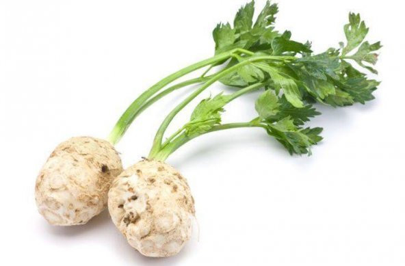 Kereviz Tohumu Kök Kerviz Tohumu 50 Tohum + Sürpriz Hediye Tohum - Resim 3