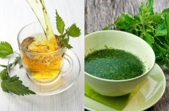 Eko Paket Isırgan otu tohumu 650 Tohum +Spriz Hediye Tohum - Resim 3