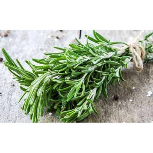 Kekik Tohumu Aromatik Dağ Kekiği tohumu 20 Adet Tohum +Hediye Toh - Resim 2