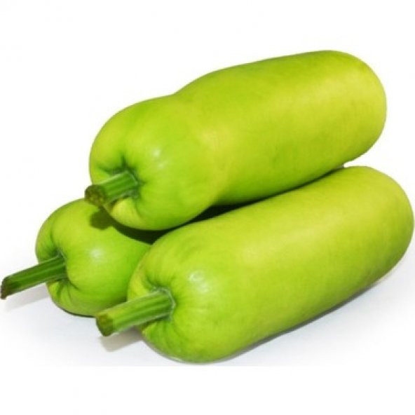 Çin Kavunu Tohumu wax Guard Tohumu 5 Tohum +Hediye Tohum - 3