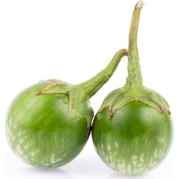 Mini Yeşil Patlıcan Tohum Thayland Patlıcanı 5 tohum +Hediye Tohu ürün görseli 1