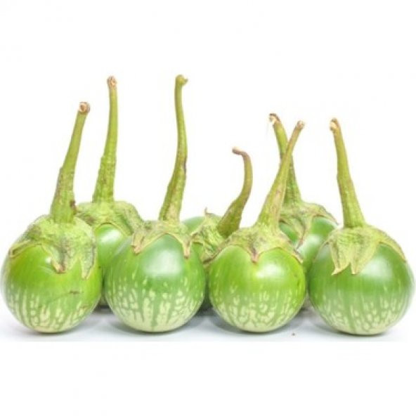 Mini Yeşil Patlıcan Tohum Thayland Patlıcanı 5 tohum +Hediye Tohu - Resim 2