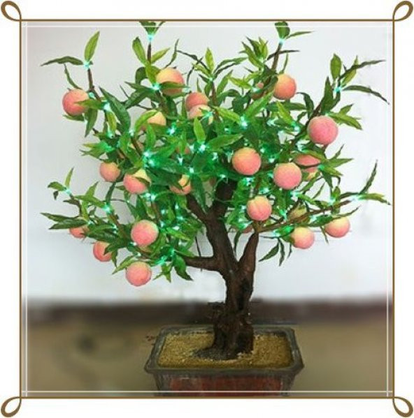 Bodur Bonsai Şeftali Ağacı Tohumu 1Tohum +Hediye Tohum - 2