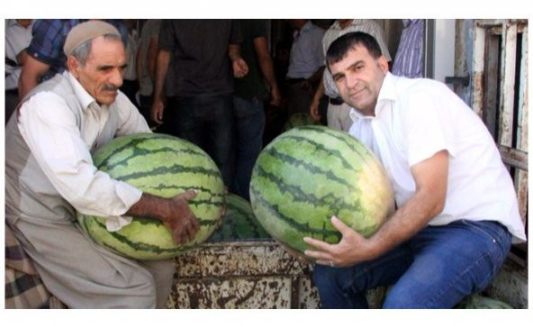 Süper Paket Meşhur Diyarbakır Karpuzu Tohumu 200 Tohum +Hediye To ürün görseli 1